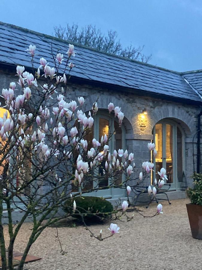 The Garden Rooms At The Courtyard,Townley Hall دروغيدا المظهر الخارجي الصورة