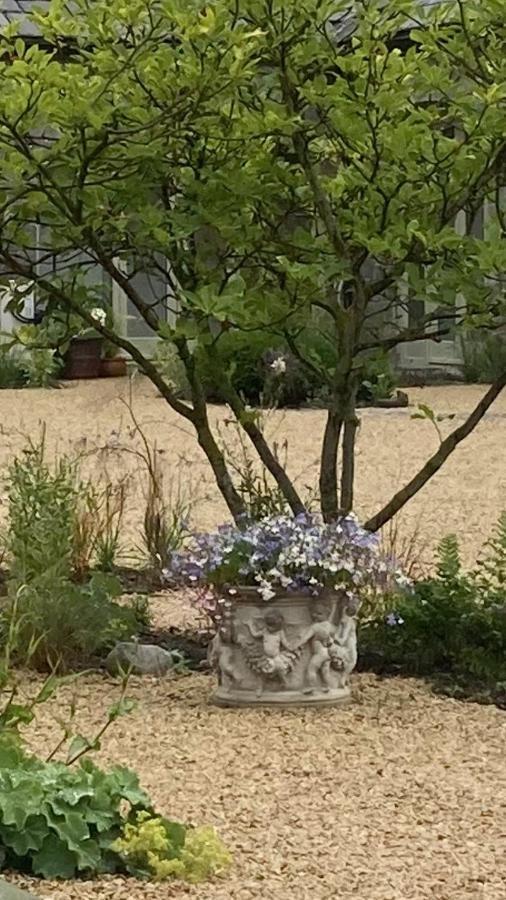 The Garden Rooms At The Courtyard,Townley Hall دروغيدا المظهر الخارجي الصورة